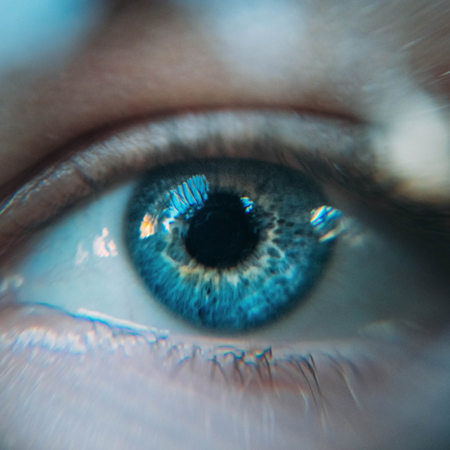 Maklo vision